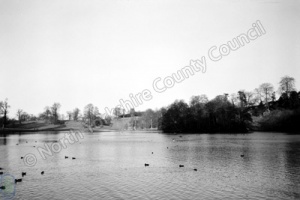 Studley Park, Lower Lake & Island